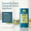 Mosquito Repellent Stick - Cliganic Mosquito Repellents