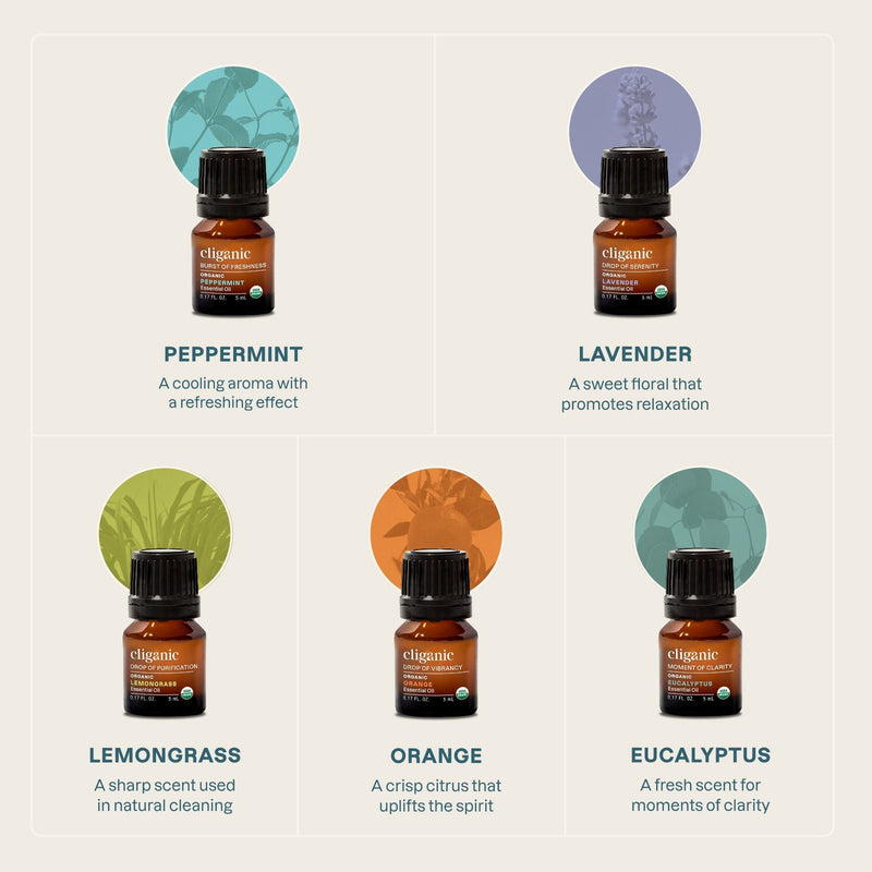 Organic Aromatherapy Set (Top 5 Essential Oils) - Cliganic Essential Oil Sets