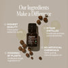 Organic Black Pepper - Cliganic Essential Oil Singles