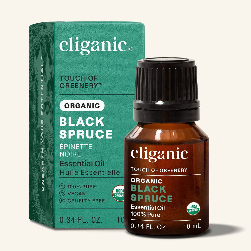 Organic Black Spruce - Cliganic Essential Oil Singles