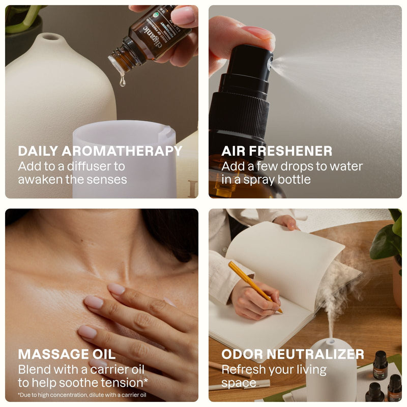 Organic Black Spruce - Cliganic Essential Oil Singles