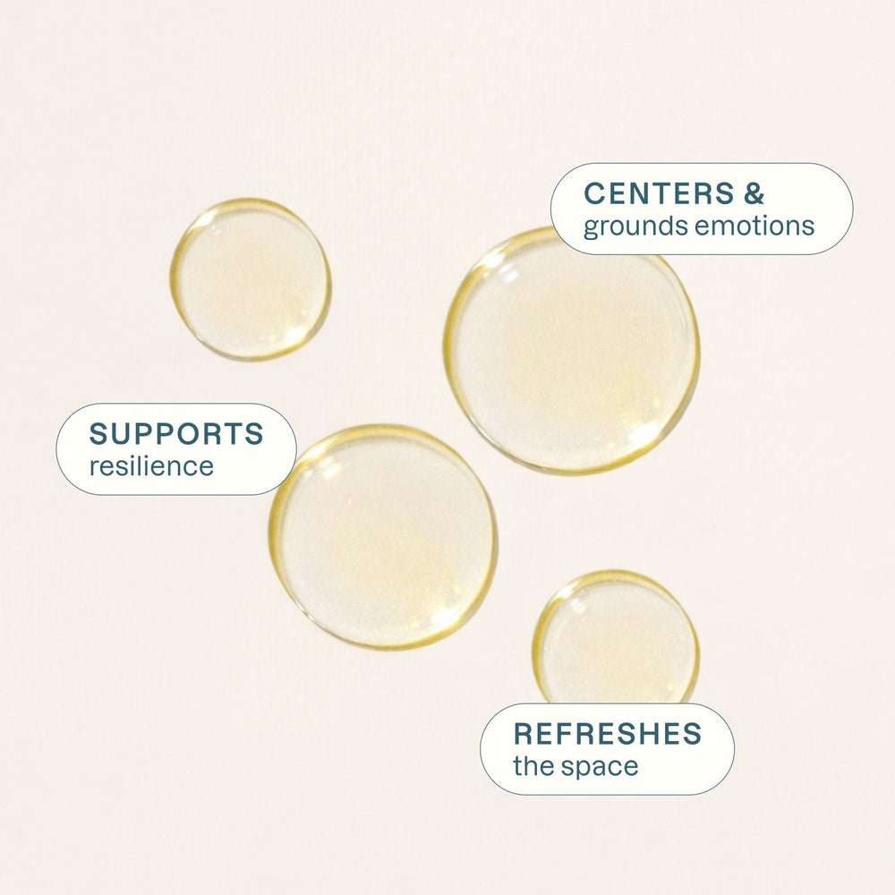 Organic Black Spruce - Cliganic Essential Oil Singles