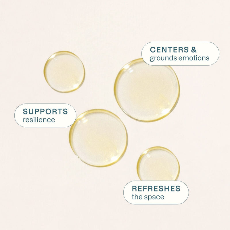 Organic Black Spruce - Cliganic Essential Oil Singles
