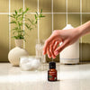 Organic Black Spruce - Cliganic Essential Oil Singles