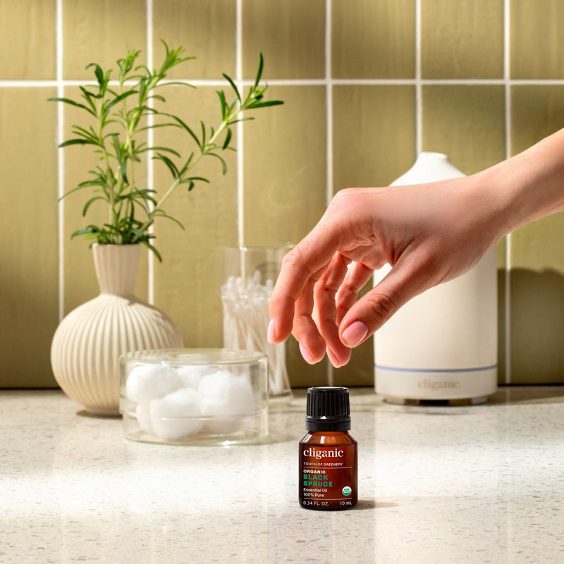 Organic Black Spruce - Cliganic Essential Oil Singles