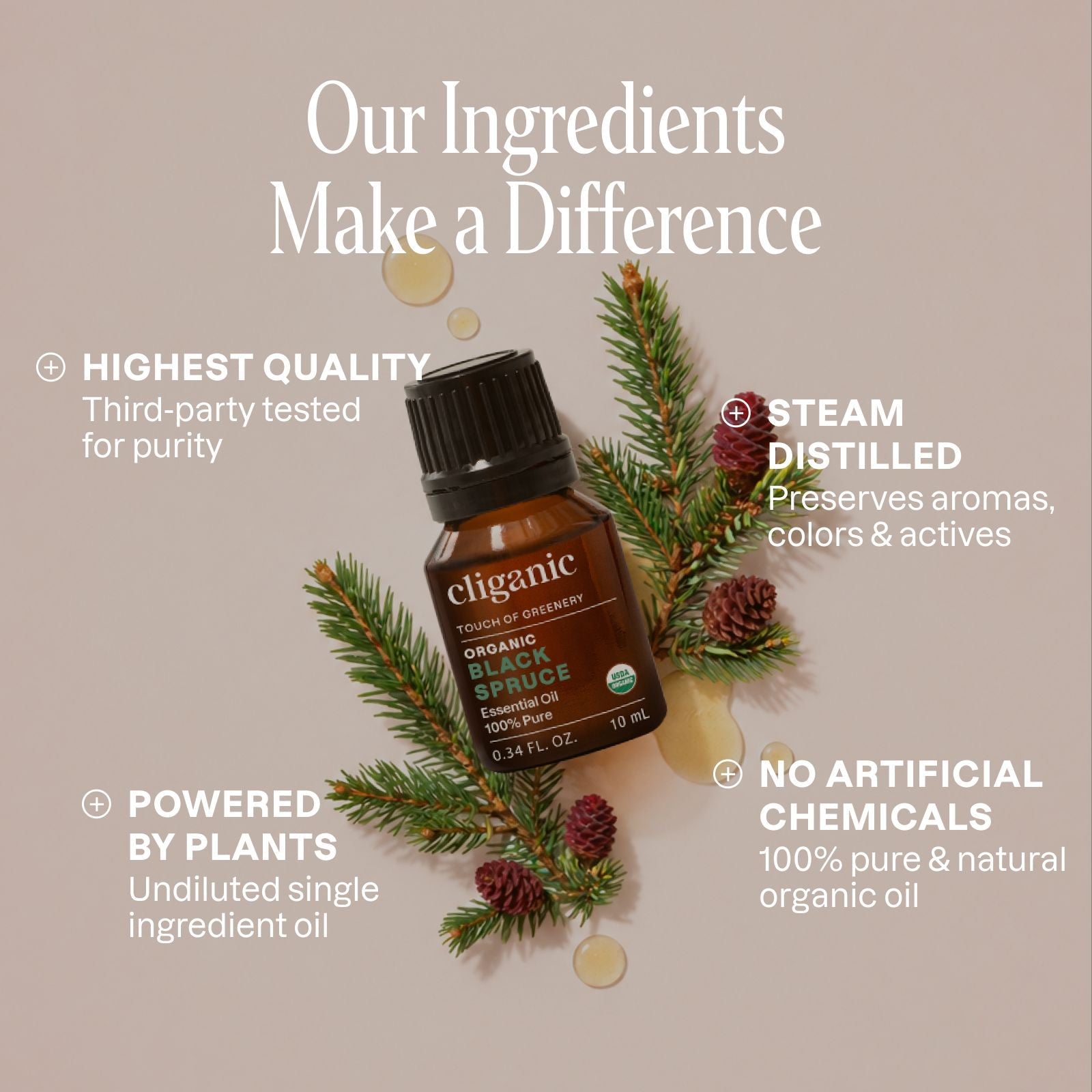 Organic Black Spruce Essential Oil | 100% Pure & Natural – Cliganic