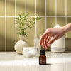 Organic Cardamom - Cliganic Essential Oil Singles