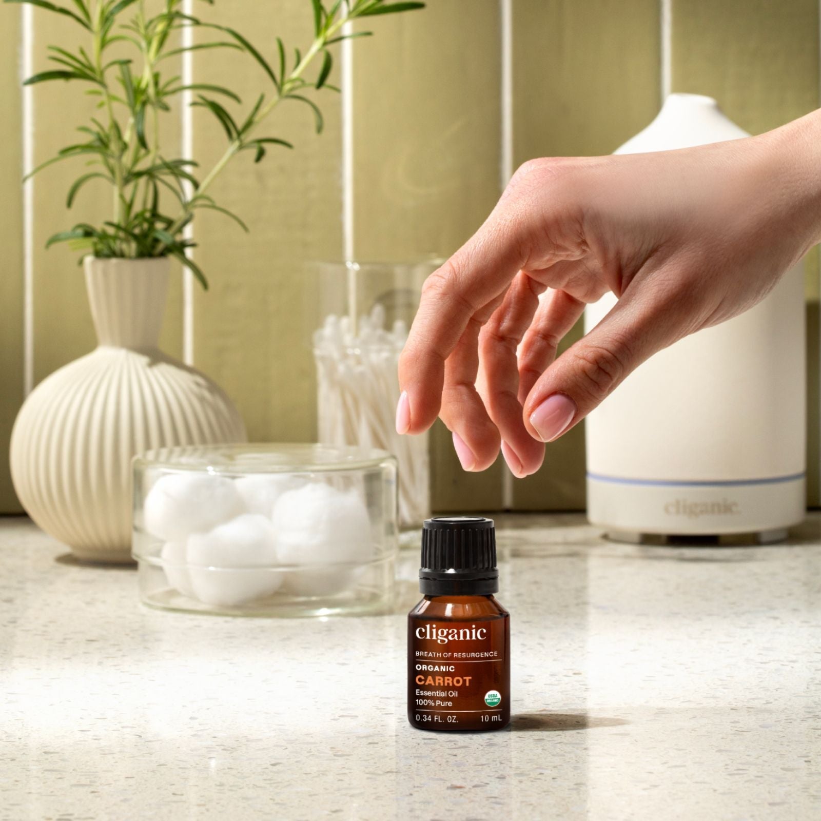 Organic Carrot Seed Essential Oil | USDA Organic | Cliganic