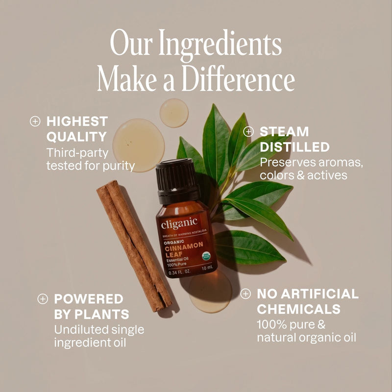 Organic Cinnamon Leaf Essential Oil - Cliganic Essential Oil Singles