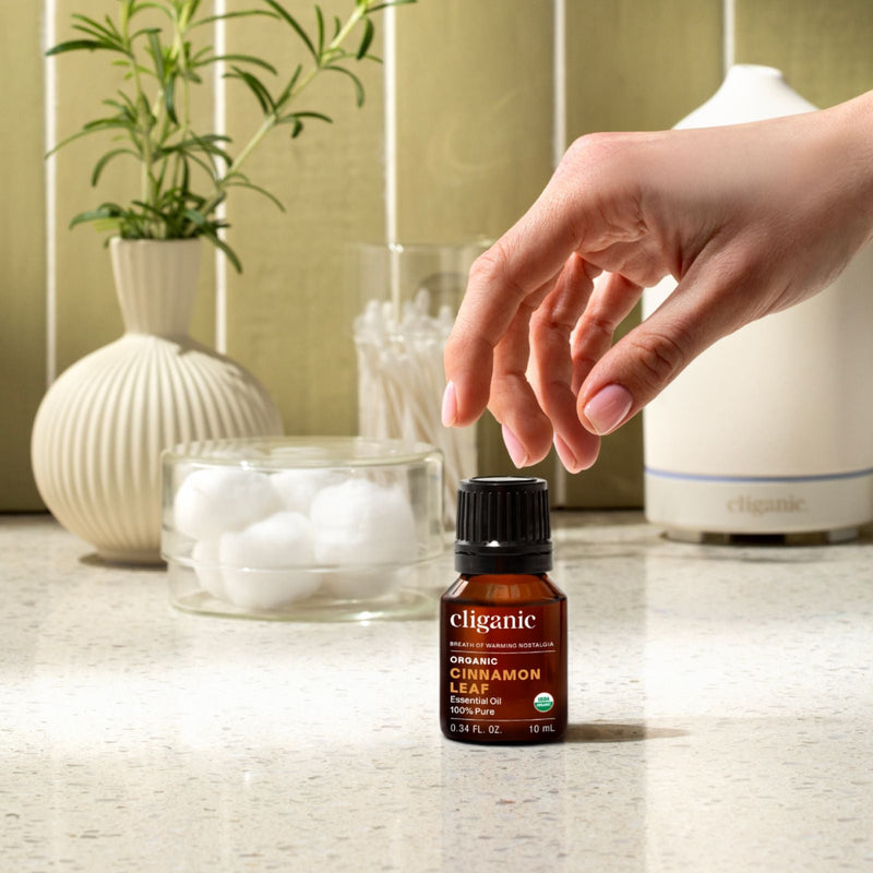 Organic Cinnamon Leaf Essential Oil - Cliganic Essential Oil Singles