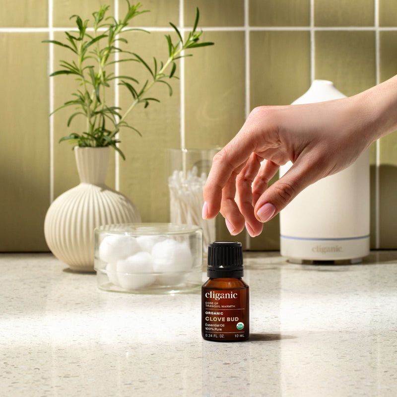 Organic Clove Bud - Cliganic Essential Oil Singles