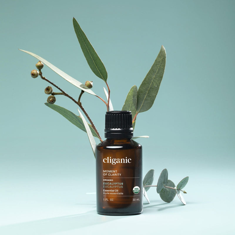 Organic Eucalyptus Essential Oil - Cliganic Essential Oil Singles