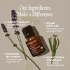 Organic Lavender Essential Oil - Cliganic Essential Oil Singles