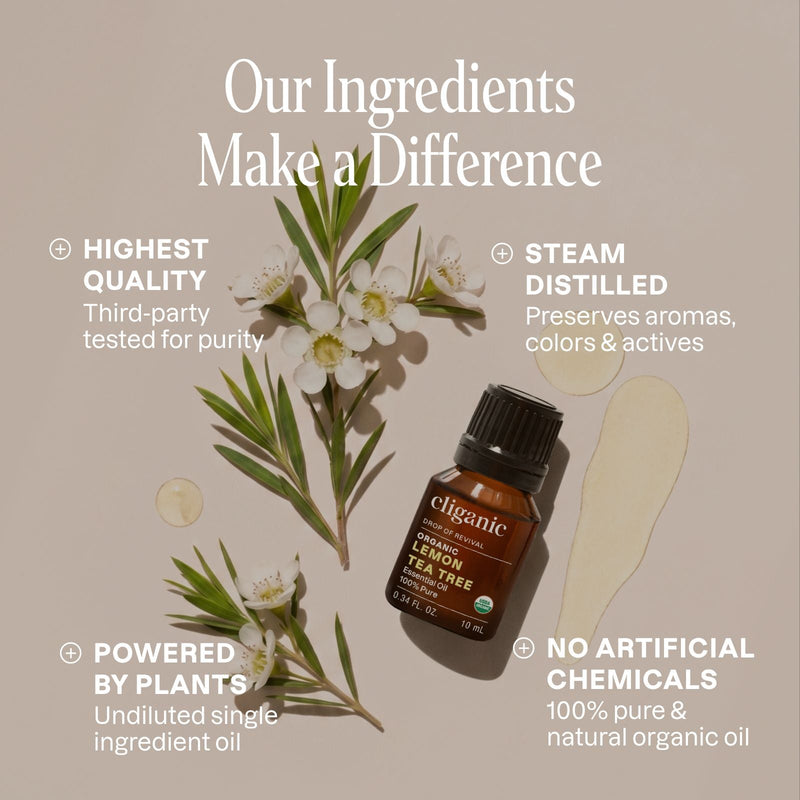 Organic Lemon Tea Tree - Cliganic Essential Oil Singles