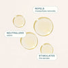 Organic Lemon Tea Tree - Cliganic Essential Oil Singles