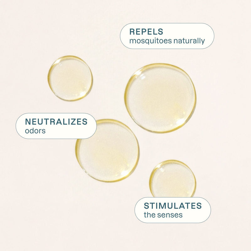 Organic Lemon Tea Tree - Cliganic Essential Oil Singles