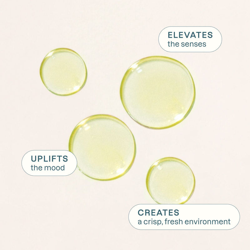 Organic Lime Essential Oil - Cliganic Essential Oil Singles