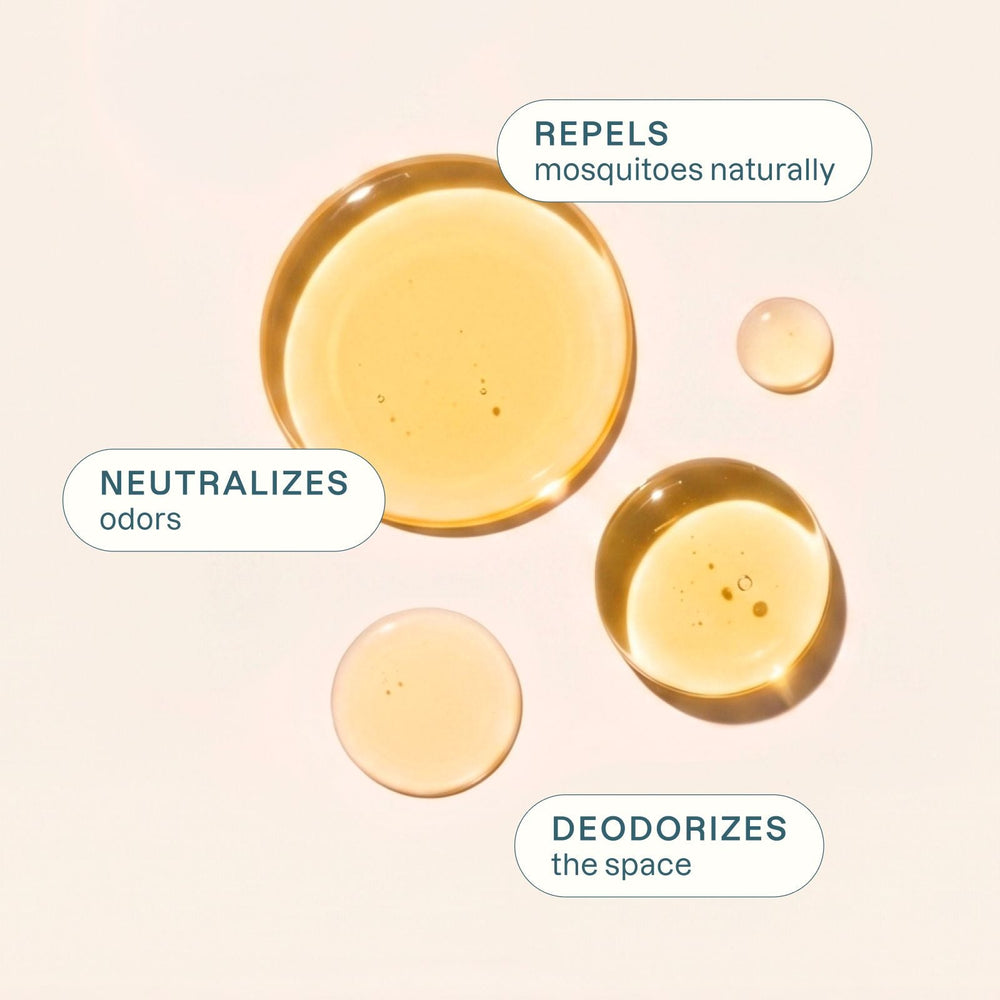 Organic May Chang Essential Oil - Cliganic Essential Oil Singles