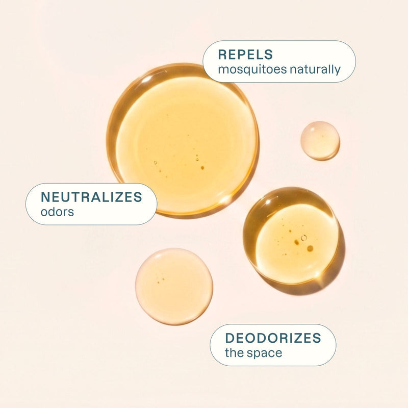 Organic May Chang Essential Oil - Cliganic Essential Oil Singles