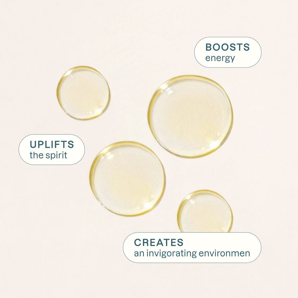 Organic Pine Essential Oil - Cliganic Essential Oil Singles