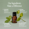 Organic Spearmint - Cliganic Essential Oil Singles