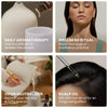 Organic Spearmint - Cliganic Essential Oil Singles