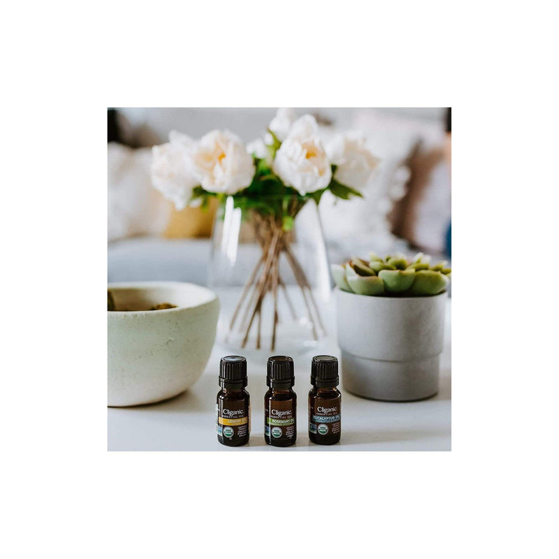 Cliganic Aromatherapy set of 4 Oils – Instacryo