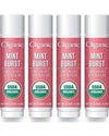 Organic Lip Balm - Mint Burst (Pack of 4) - Cliganic Lip Balms