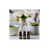 The Classics - Cliganic Essential Oil Sets